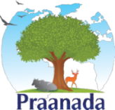 Praanada